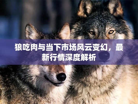 狼吃肉与当下市场风云变幻，最新行情深度解析