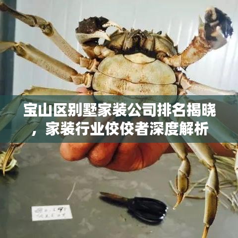 宝山区别墅家装公司排名揭晓，家装行业佼佼者深度解析