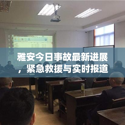 雅安今日事故最新进展，紧急救援与实时报道速递
