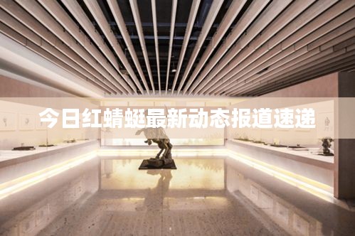 今日红蜻蜓最新动态报道速递