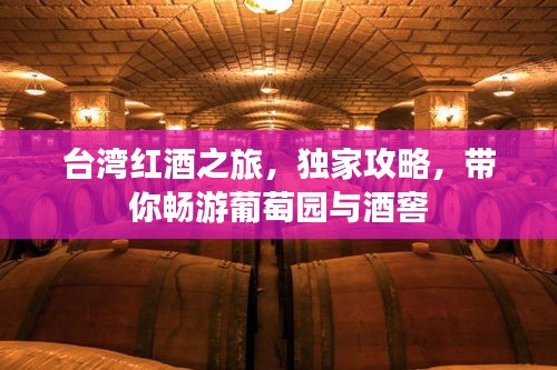 台湾红酒之旅，独家攻略，带你畅游葡萄园与酒窖