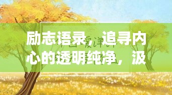 励志语录，追寻内心的透明纯净，汲取力量的源泉