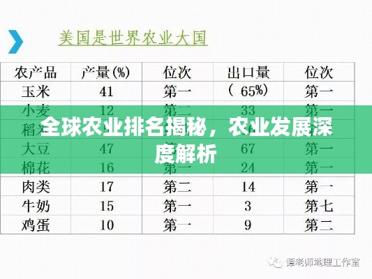 全球农业排名揭秘，农业发展深度解析