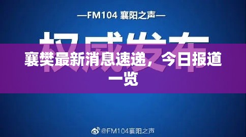 襄樊最新消息速递，今日报道一览