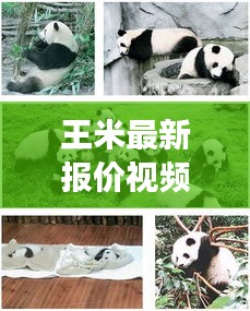 雍容华贵 第3页