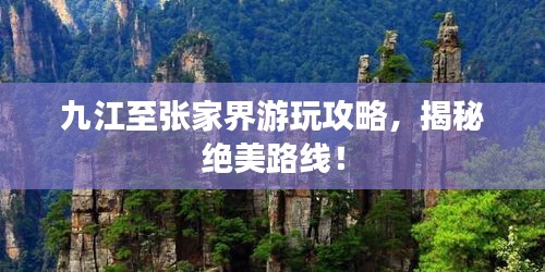 九江至张家界游玩攻略，揭秘绝美路线！