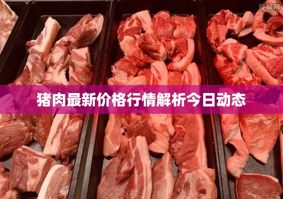 食而不化 第3页