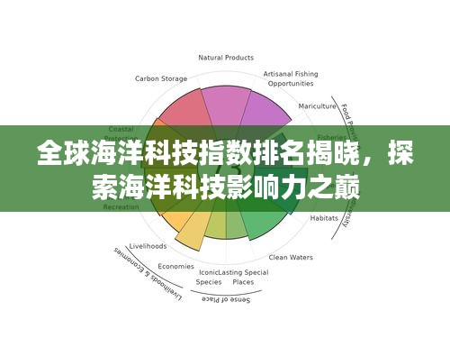 衣不重彩 第3页