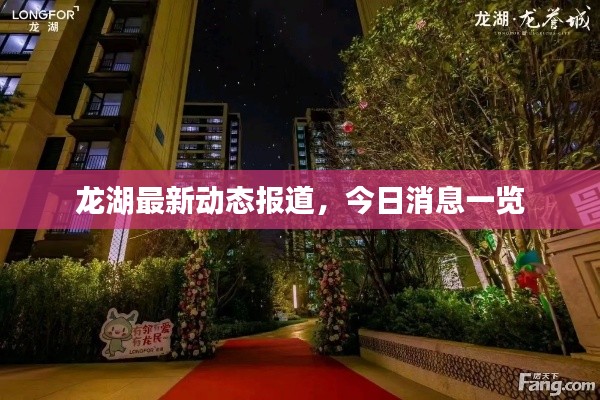 龙湖最新动态报道，今日消息一览