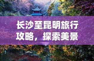 铺张浪费 第2页