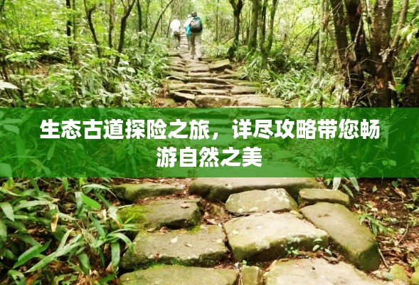 生态古道探险之旅，详尽攻略带您畅游自然之美