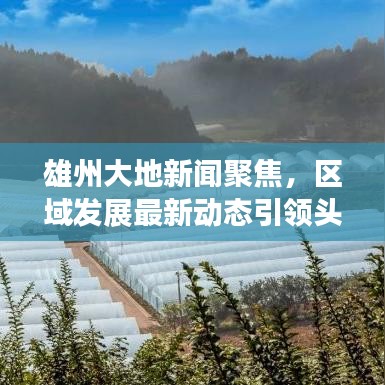 雄州大地新闻聚焦，区域发展最新动态引领头条