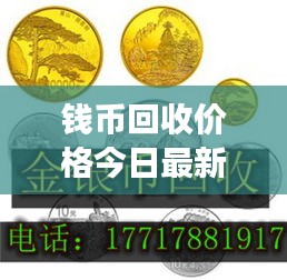 钱币回收价格今日最新动态，市场趋势解析及影响因素全揭秘