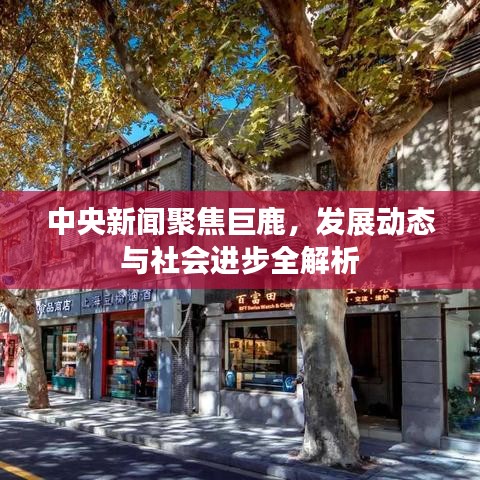 七上八下 第2页