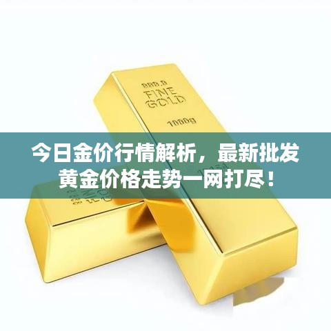 今日金价行情解析，最新批发黄金价格走势一网打尽！