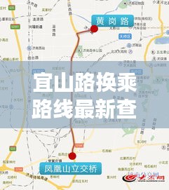 坌鸟先飞 第3页