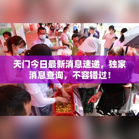 天门今日最新消息速递，独家消息查询，不容错过！