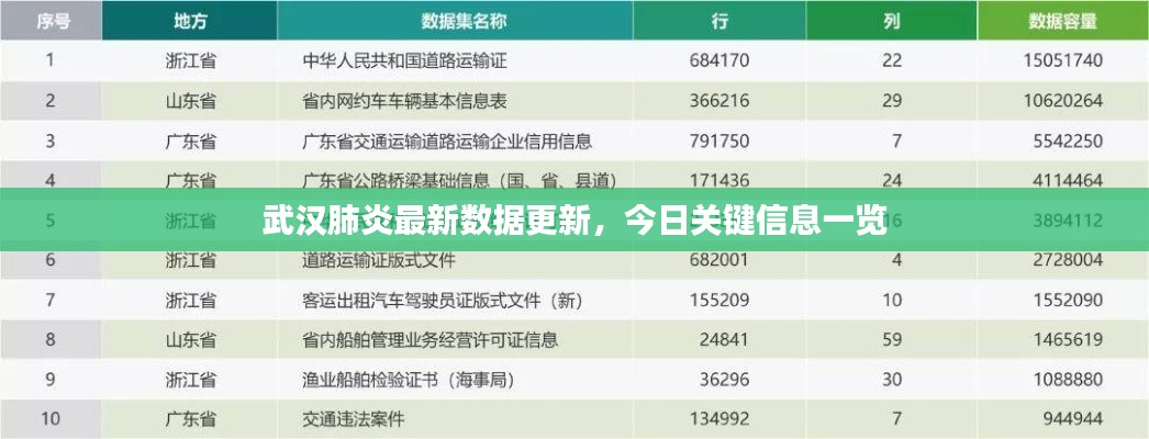 武汉肺炎最新数据更新，今日关键信息一览