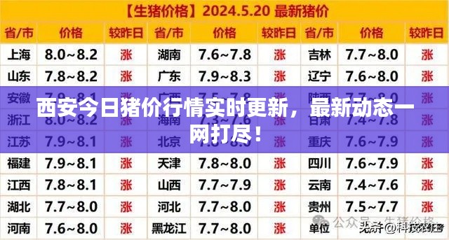天各一方 第3页
