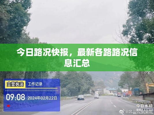 犯而不校 第3页