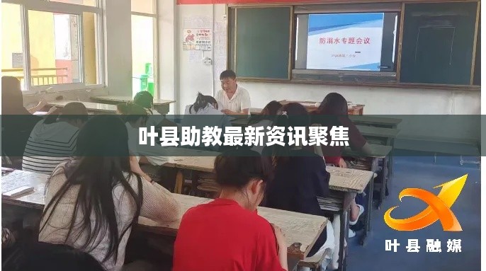 叶县助教最新资讯聚焦