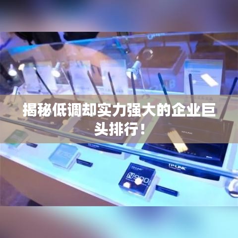 揭秘低调却实力强大的企业巨头排行！