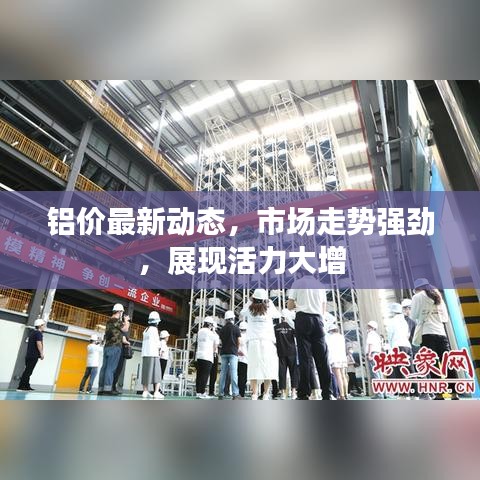 铝价最新动态，市场走势强劲，展现活力大增