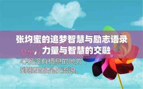 张均蜜的追梦智慧与励志语录,力量与智慧的交融