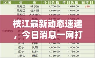 枝江最新动态速递，今日消息一网打尽！