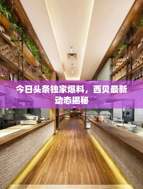 今日头条独家爆料，西贝最新动态揭秘