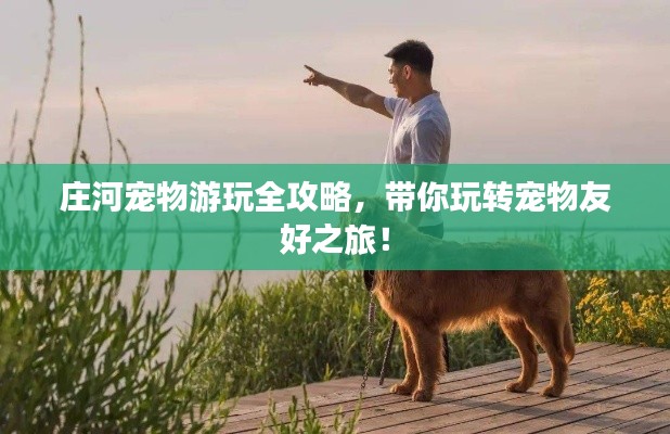 庄河宠物游玩全攻略，带你玩转宠物友好之旅！