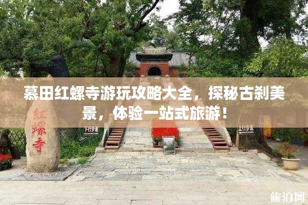 十年磨剑 第3页