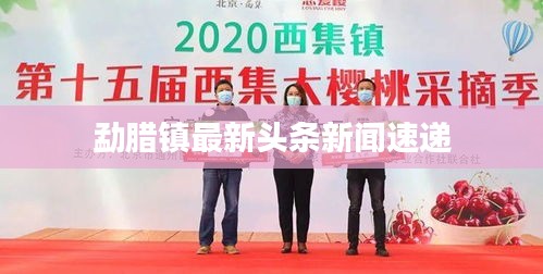勐腊镇最新头条新闻速递