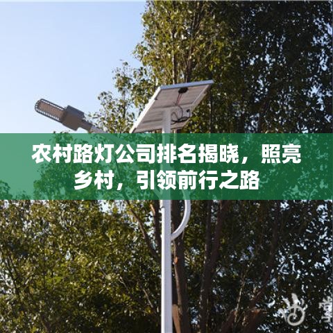 农村路灯公司排名揭晓，照亮乡村，引领前行之路
