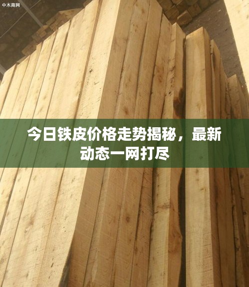 今日铁皮价格走势揭秘，最新动态一网打尽