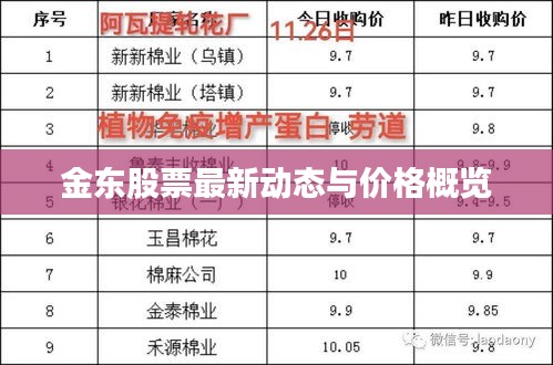 金东股票最新动态与价格概览