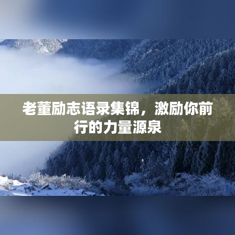 老董励志语录集锦，激励你前行的力量源泉