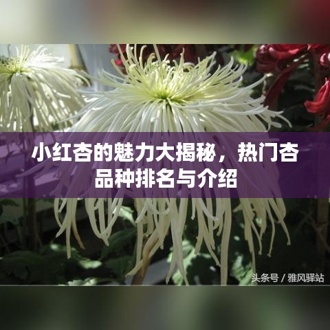 国色天香 第2页
