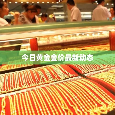 今日黄金金价最新动态