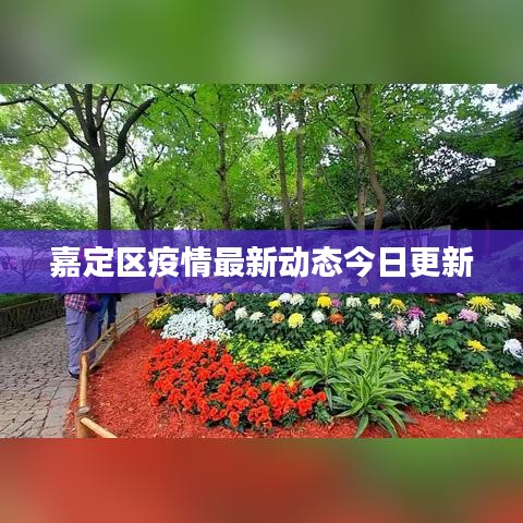 嘉定区疫情最新动态今日更新