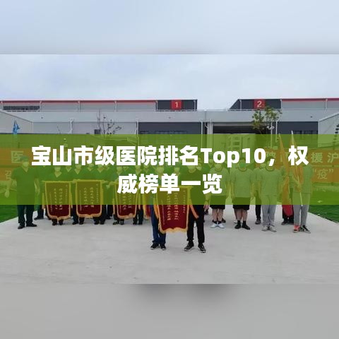宝山市级医院排名Top10，权威榜单一览