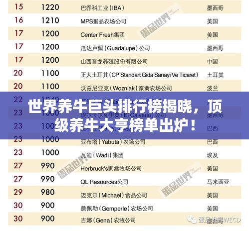 文贵天成 第3页