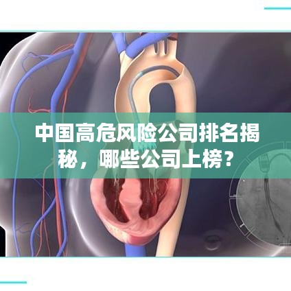 张皇铺饰 第3页