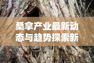 攀高接贵 第2页