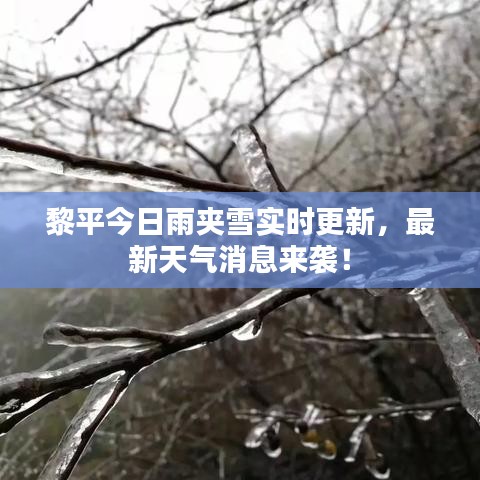 手不释卷 第2页