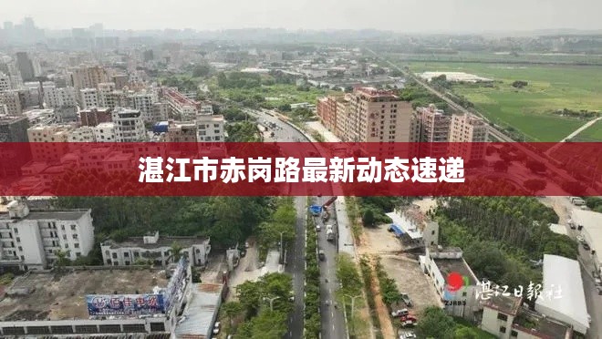惨淡经营 第3页