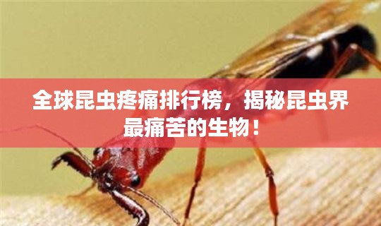 全球昆虫疼痛排行榜，揭秘昆虫界最痛苦的生物！