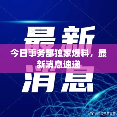 今日事务部独家爆料，最新消息速递