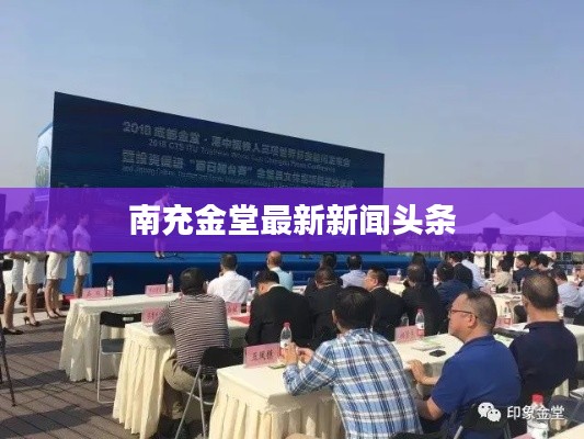 南充金堂最新新闻头条