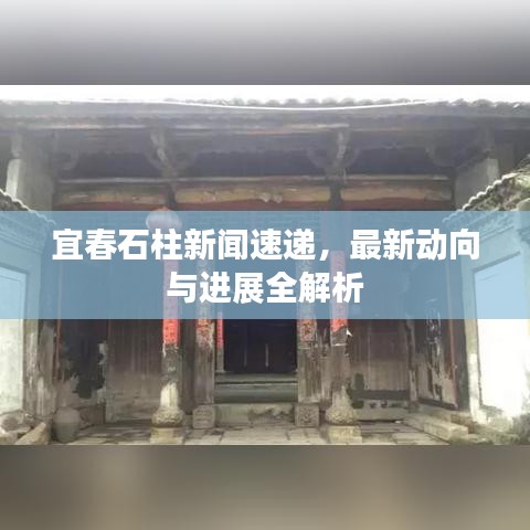 宜春石柱新闻速递，最新动向与进展全解析